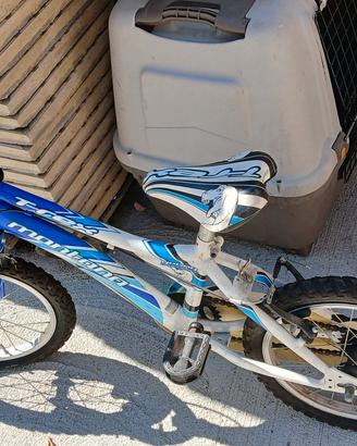 bicicletta 