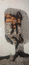 H.Venator colonia (formiche)