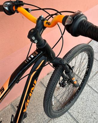 Bici mtb usata