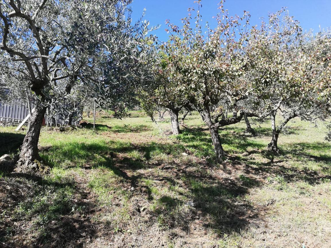RUSTICO A SAN VITO ROMANO - Vista 6