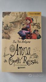 libro  "Anna dai capelli rossi "