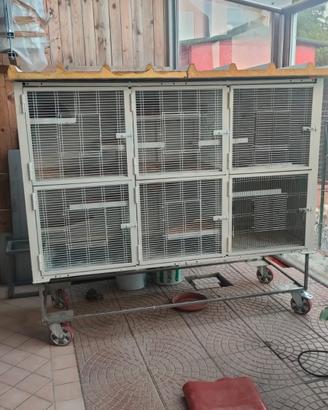 Batteria/voliera  modulare artigianale 