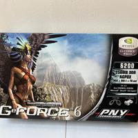 Scheda Video PNY GeForce 6