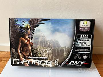 Scheda Video PNY GeForce 6