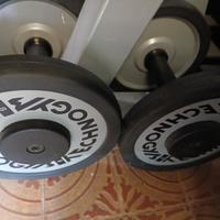 Manubri Pesi Palestra 8 kg Technogym