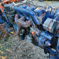 Same minotauro immediato realizzo