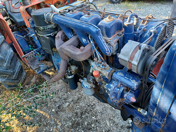 Same minotauro immediato realizzo