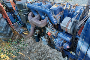 Same minotauro immediato realizzo