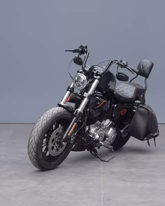 HARLEY DAVIDSON 1200 Forty-Eight