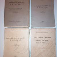 La Castellata di Rivara e il Canavese 