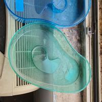 Acquari terrari tartarughe in blocco