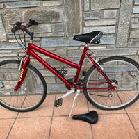 Bicicletta rossa