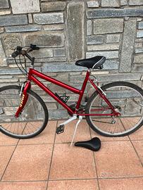 Bicicletta rossa