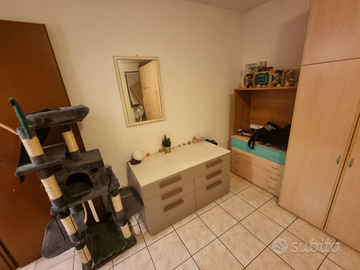 Bilocale zona Borgomeduna