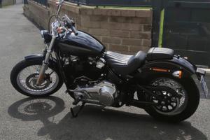 Harley-Davidson Softail Standard - 2021