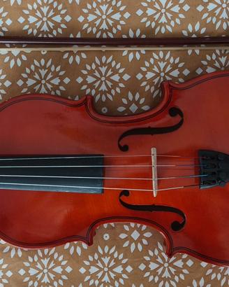 violino