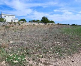 Marina di Ragusa - Terreno Agricolo