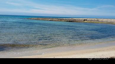 Fronte mare dal 22 al 29 agosto