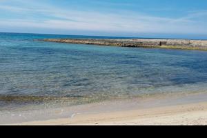 Fronte mare dal 22 al 29 agosto