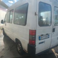 fiat Ducato 9 posti