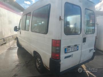 fiat Ducato 9 posti