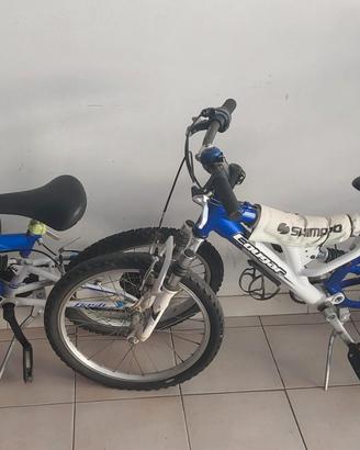 Bici bambino