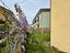 Immagine 15