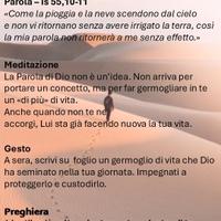 collezionismo monete 