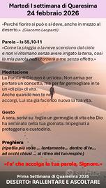 collezionismo monete 