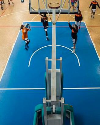 CANESTRO BASKET PROFESSIONALE