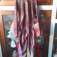 Vestito di carnevale "gallina". 