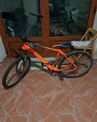 Bicicletta Sportiva