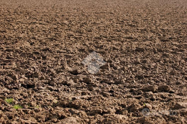 TER. AGRICOLO A COLOGNO AL SERIO - Vista 3