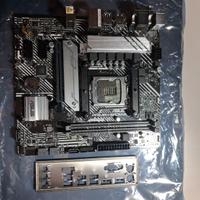 Scheda madre asus prime h510m-a