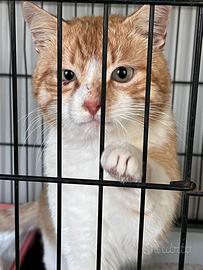 ? Un concentrato di dolcezza