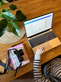 Lavoro da remoto (assistenza clienti, ecc.)