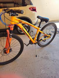 Mountain bike 