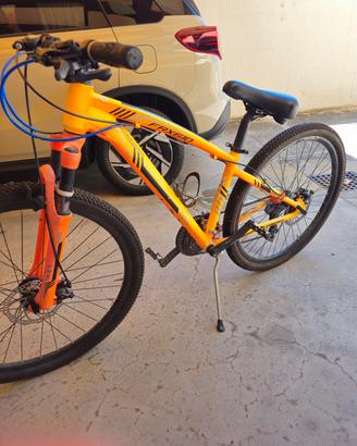 Mountain bike 