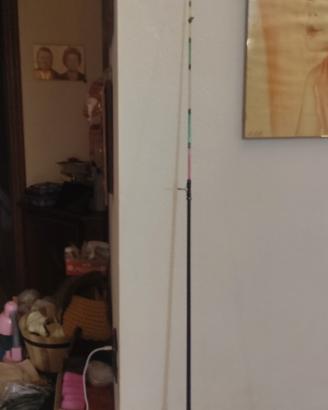 canna da pesca Mitchell 