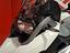 Immagine 10