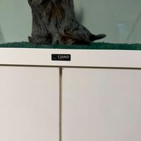 Acquario CIANO 180 litri