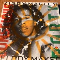 Disco Vinile Ziggy Marley