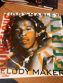 Disco Vinile Ziggy Marley