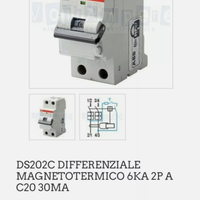 Abb differenziale magnetotermico ds202c c20a ac30