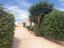 Immagine 6