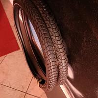 2 Gomme Mountain bike SCHUWALBE PROTECTION LEVEL