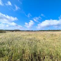 Terreno in loc. Punte Trettu San Giovanni Suergiu