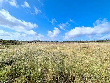 Terreno in loc. Punte Trettu San Giovanni Suergiu