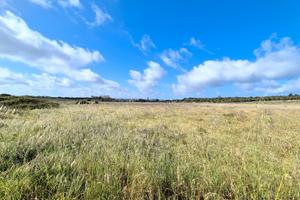 Terreno in loc. Punte Trettu San Giovanni Suergiu