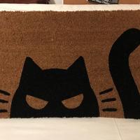IKEA Kustfyr zerbino 40x60 con gatto